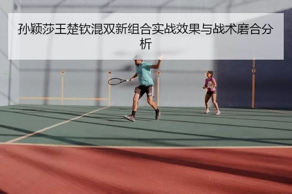 sun-ying-sha-wang-chu-qin-hun-shuang-xin-zu-he-shi-zhan-xiao-guo-yu-zhan-shu-mo-he-fen-xi-1-415.jpg
